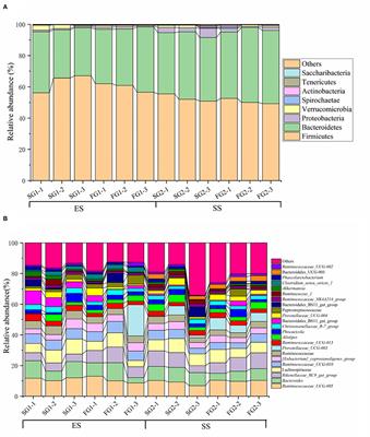 Rumen Microbiome and Metabolome of Tibetan Sheep (Ovis aries) Reflect Animal Age and Nutritional Requirement
